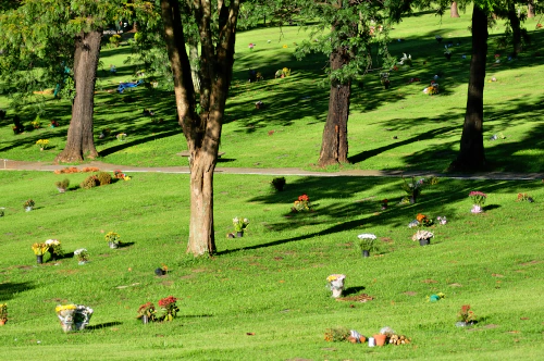 Área do Cemitério Congonhas em São Paulo