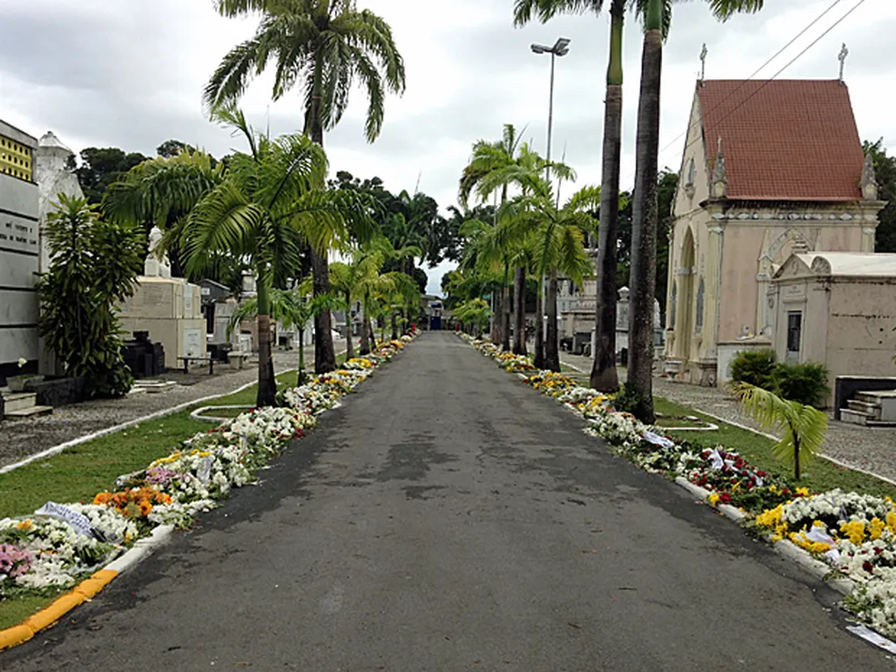 Área do Cemitério Santo Amaro